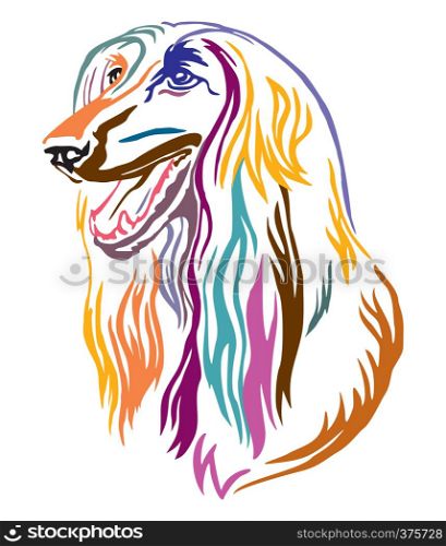 Colorful decorative outline portrait of Afghan Hound Dog looking in profile, vector illustration in different colors isolated on white background. Image for design and tattoo.