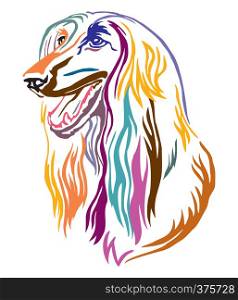 Colorful decorative outline portrait of Afghan Hound Dog looking in profile, vector illustration in different colors isolated on white background. Image for design and tattoo.