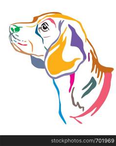 Colorful decorative outline portrait of Beagle Dog looking in profile, vector illustration in different colors isolated on white background. Image for design and tattoo.