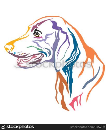 Colorful decorative outline portrait of Weimaraner Dog looking in profile, vector illustration in different colors isolated on white background. Image for design and tattoo.