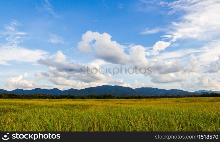 colorful dramatic sky with cloud at sunset