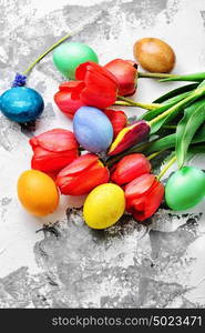 Colorful Easter eggs and tulips. Easter colored eggs and bunch of spring tulips