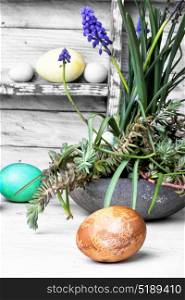 Colorful Easter eggs. Easter colored egg and and a tub with succulents and hyacinths