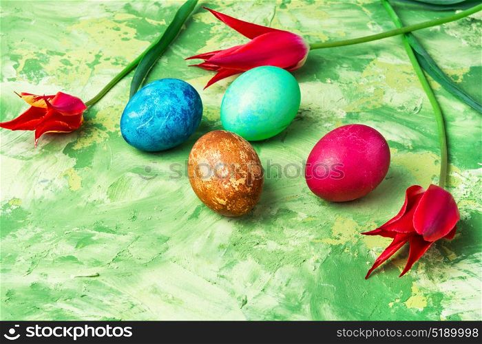 Colorful Easter eggs. Easter colored egg and bright red tulips