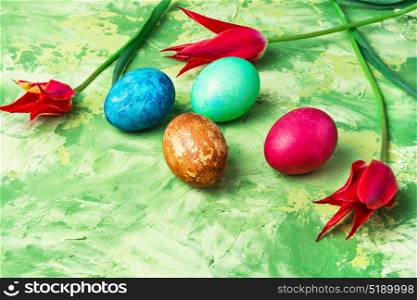 Colorful Easter eggs. Easter colored egg and bright red tulips