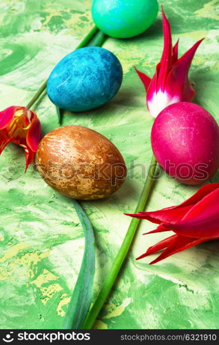 Colorful Easter eggs. Easter colored egg and bright red tulips