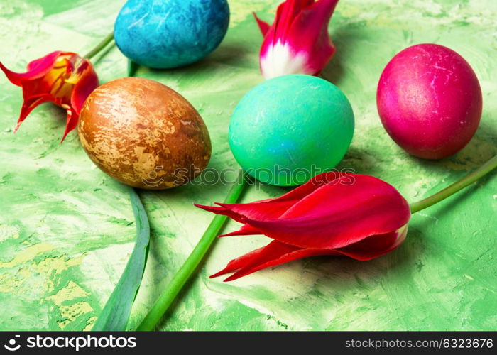 Colorful Easter eggs. Easter colored egg and bright red tulips