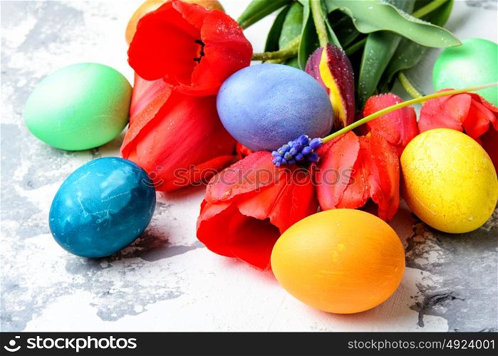 Colorful Easter eggs. Easter painted egg and spring red tulips.Happy Easter