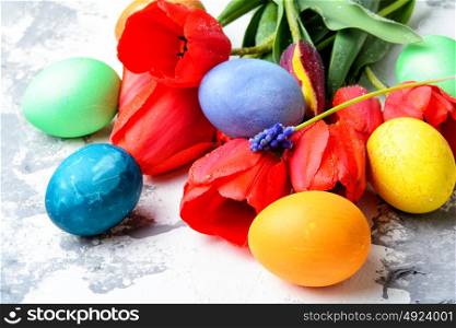 Colorful Easter eggs. Easter painted egg and spring red tulips.Happy Easter