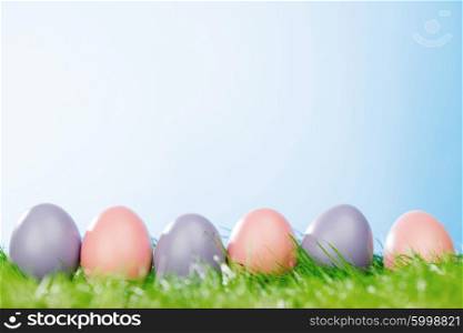 Colorful easter eggs in fresh spring green grass