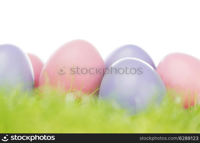 Colorful easter eggs in fresh spring green grass