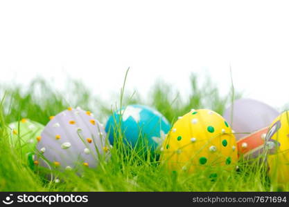 Colorful easter eggs in fresh spring green grass. Easter eggs in grass