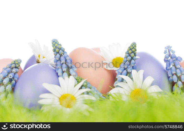 Colorful easter eggs in fresh spring green grass with flowers