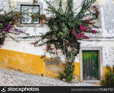 Colorful Facade and Small Bush in the Medieval Portuguese City of Obidos