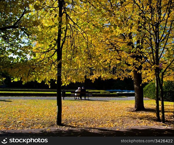 Colorful fall autumn park with falling leaves from trees