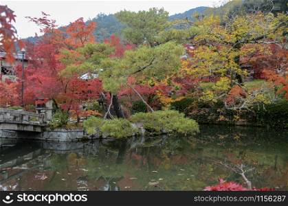 Colorful fall color leaves in Eikando Zenrinji gardens in Kyoto, Japan. Eikando is one of the best place to enjoy the autumn color in Kyoto
