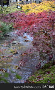 Colorful fall color leaves in Eikando Zenrinji gardens in Kyoto, Japan. The Jodo Buddhism temple dates back to year 853.