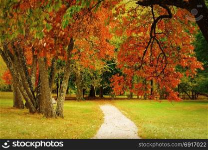 Colorful fall scenery.