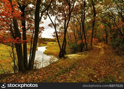 Colorful fall scenery.