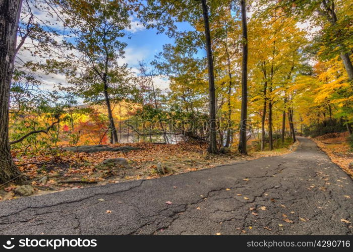 Colorful fall scenery landscapes.