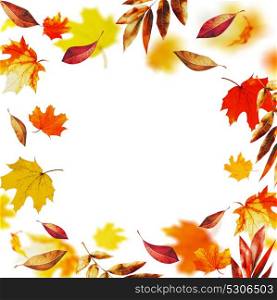 Colorful falling autumn leaves , fall frame, isolated on white background