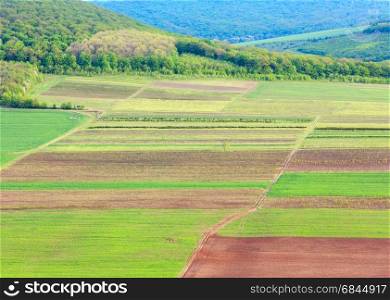 Colorful fields, spring country landscape. Ternopil region, Ukraine.