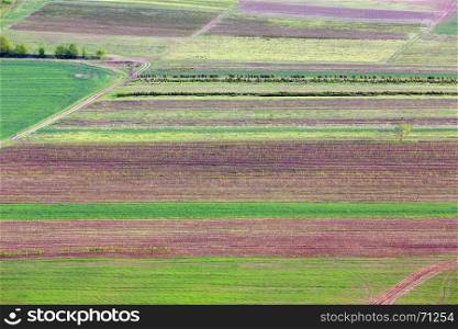 Colorful fields, spring country landscape. Ternopil region, Ukraine.