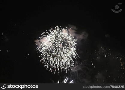 Colorful firework in the black night sky