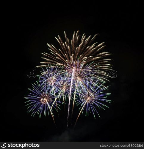 Colorful fireworks exploding in the night sky