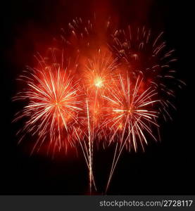 Colorful fireworks on the black sky background