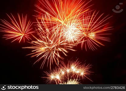 Colorful fireworks on the black sky background