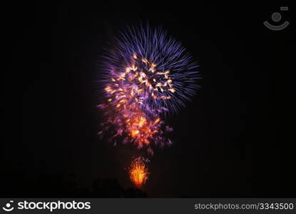 Colorful fireworks on the black sky background