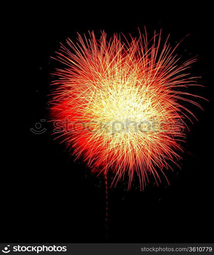 Colorful fireworks on the black sky background