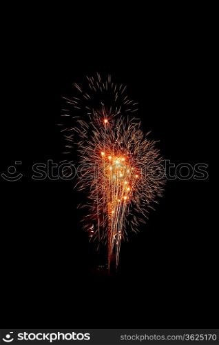 Colorful fireworks on the black sky background
