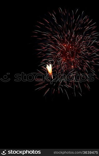 Colorful fireworks on the black sky background