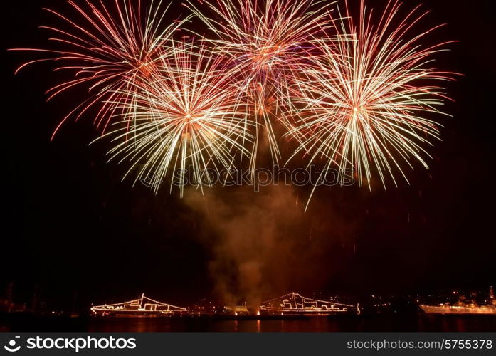 Colorful fireworks on the black sky background