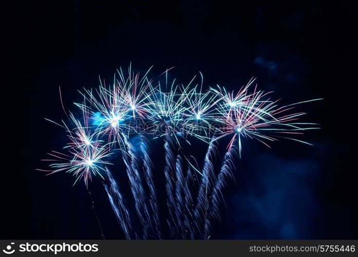 Colorful fireworks on the black sky background