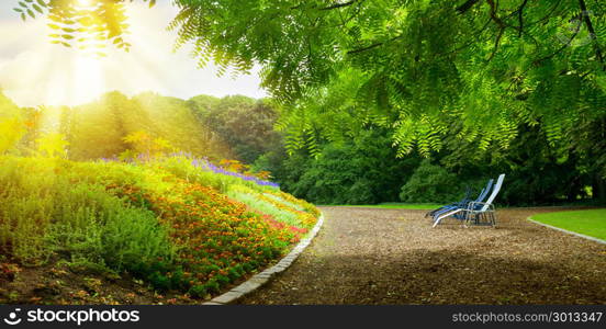 Colorful flower bed and place for rest on sunny afternoon.