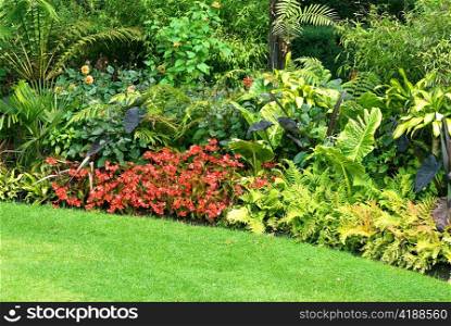 colorful flower gardens in Regent&rsquo;s park London