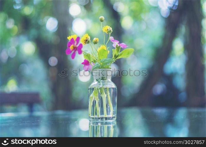 colorful flower on outdoor coffee table