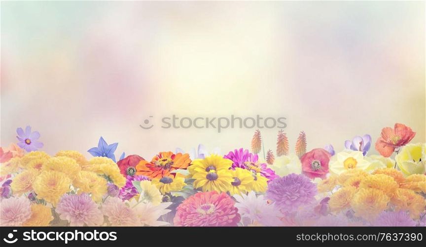 Colorful flowers for background.Soft focus.