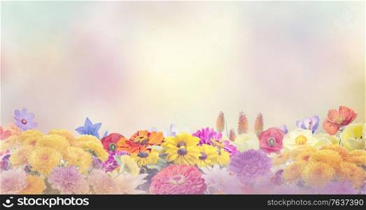 Colorful flowers for background.Soft focus.