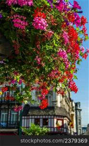 Colorful flowers in hanging flowerpots in the streets of Brussels, Belgium