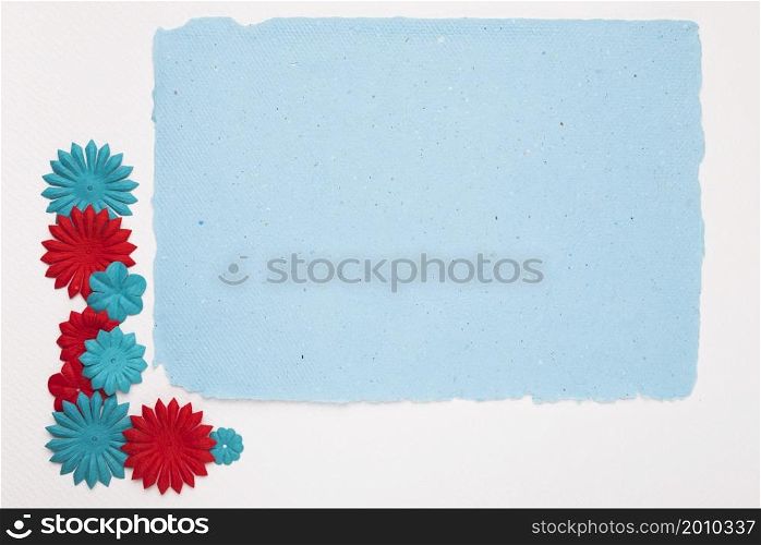 colorful flowers near blue frame isolated background