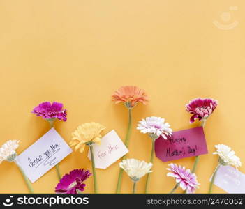 colorful flowers with copy space