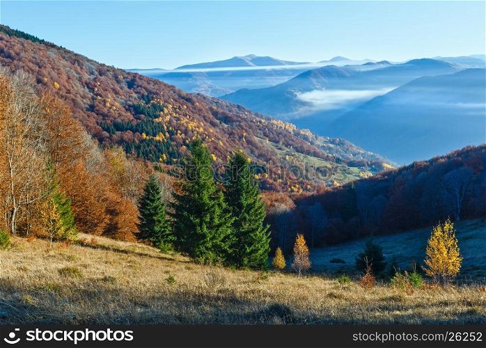 Colorful forest on autumn slope and clouds between the peaks.