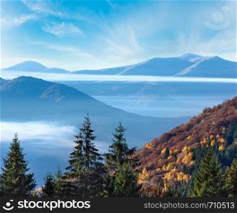 Colorful forest on autumn slope and clouds between the peaks.