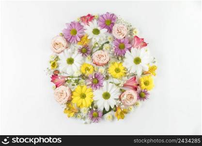 colorful fresh flowers arranged circle white background