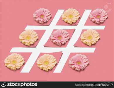 Colorful gerbera flowers on the lines of hashtag symbol on a pastel pink paper background with copy space. Greeting postcard. Hash tag sign with flowers on a pink pastel background.