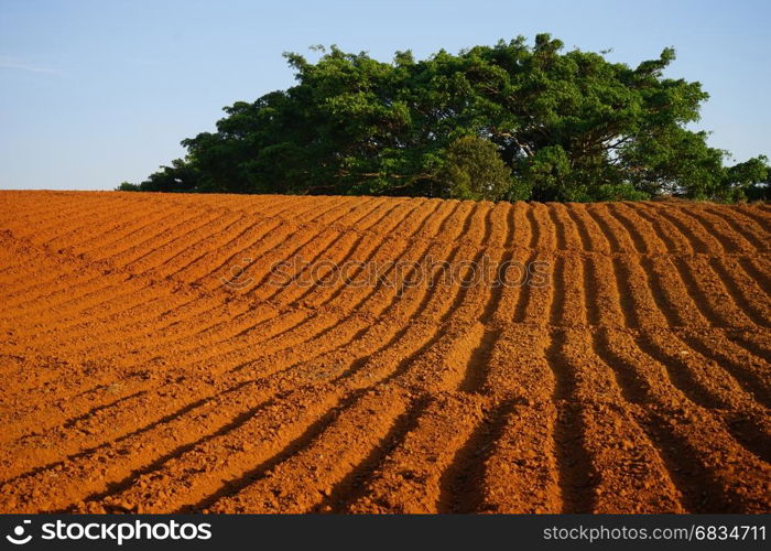 Colorful ground in the fields of Myanmar